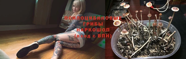 ПСИЛОЦИБИНОВЫЕ ГРИБЫ Алзамай