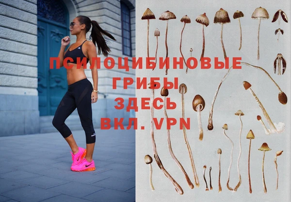 ПСИЛОЦИБИНОВЫЕ ГРИБЫ Алзамай