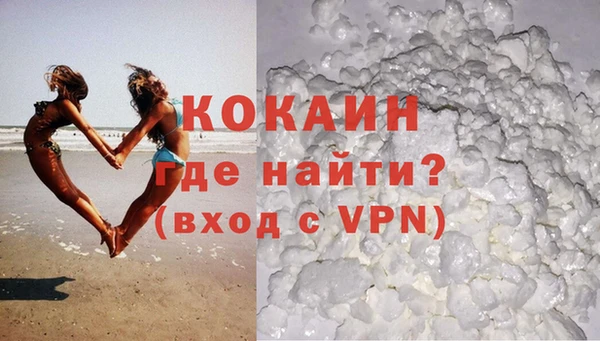 прущие грибы Билибино