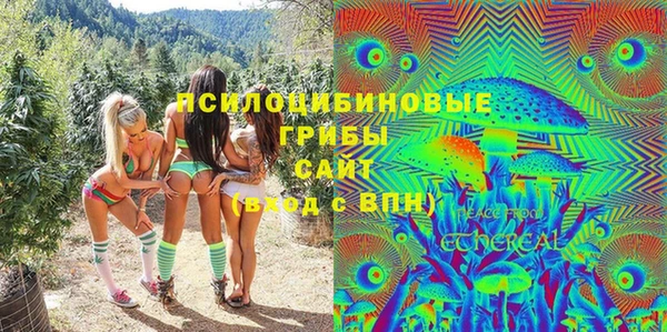 ПСИЛОЦИБИНОВЫЕ ГРИБЫ Алзамай