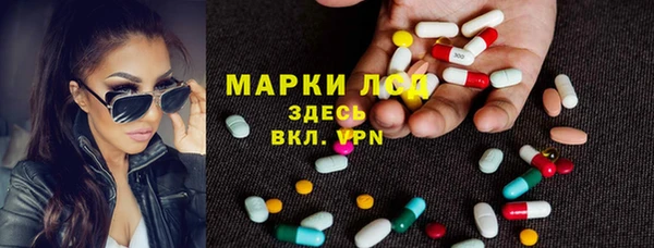 гидра Алексин