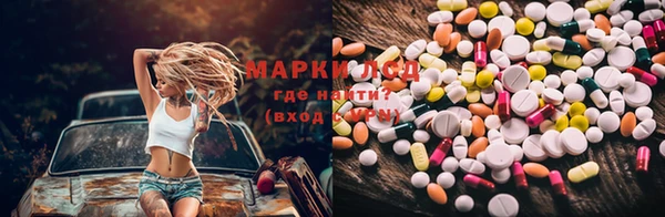 ПСИЛОЦИБИНОВЫЕ ГРИБЫ Алзамай